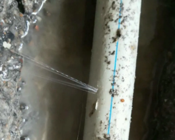 巨野卫生间测漏水多少钱